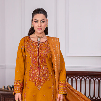 Pakistani Mehndi Dresses