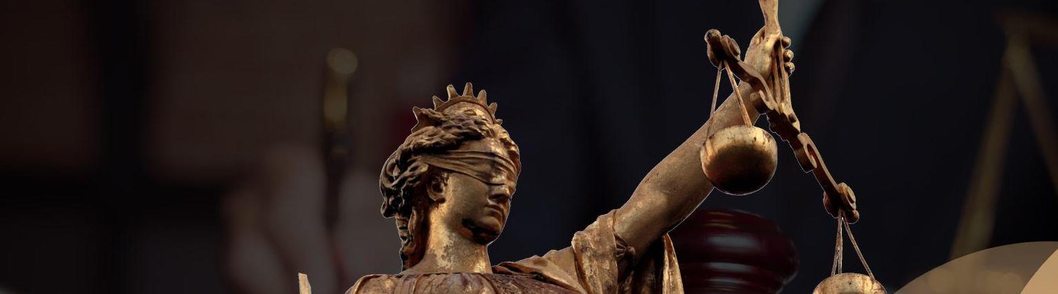 Genova Law12