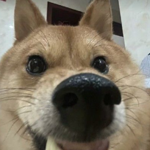 yuhuan beiye