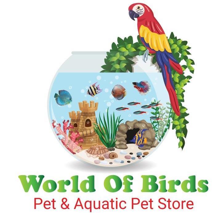 World Of Birds