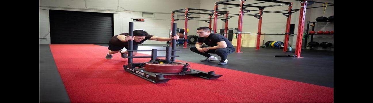 Transform180 Training