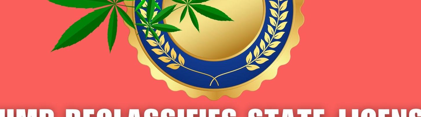 Ohiomarijuana Card6