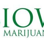 IowaMarijuana Marijuana