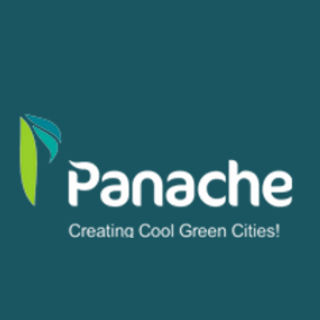 Panache Green