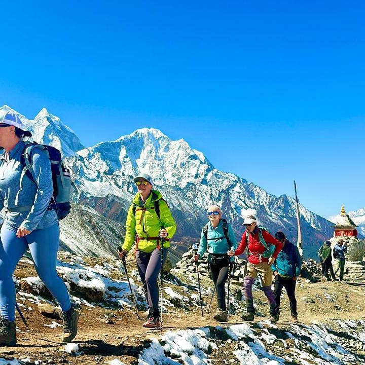 Domas Sherpa