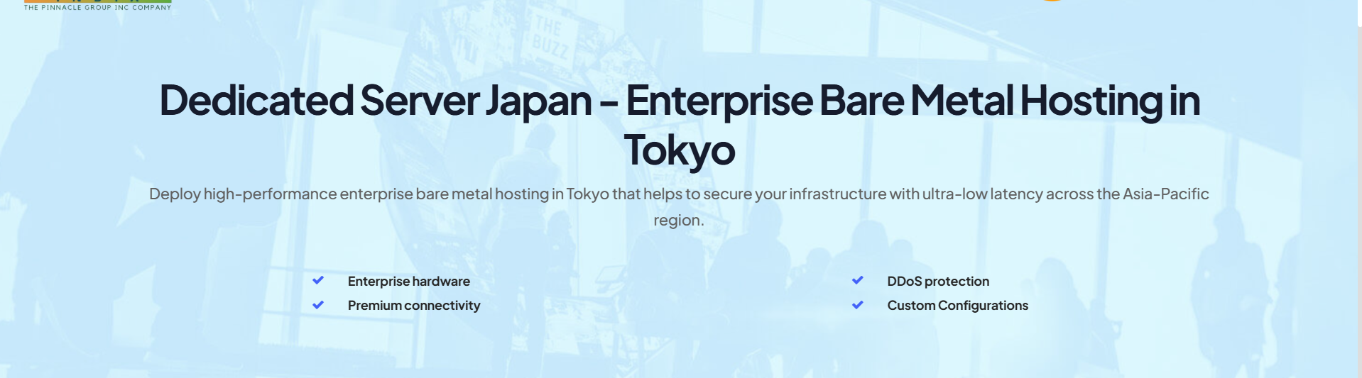 Hostnetindia Web Hosting