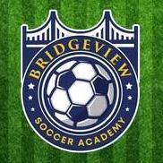 Bridgeview Soccer