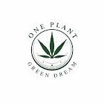  Bhang Goli Plant