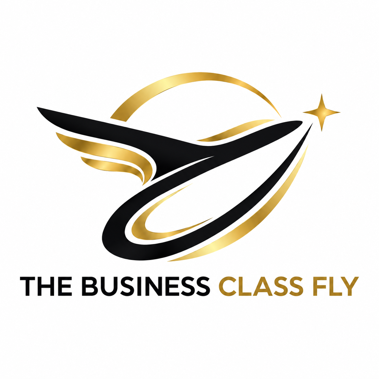 TheBusiness ClassFly