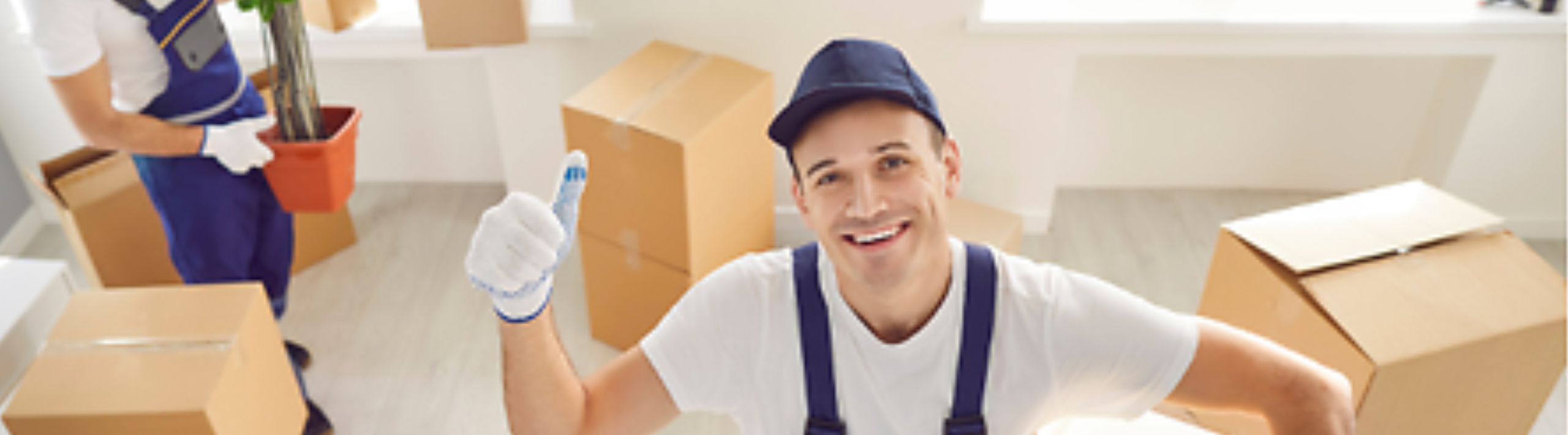 Prime Zone Movers