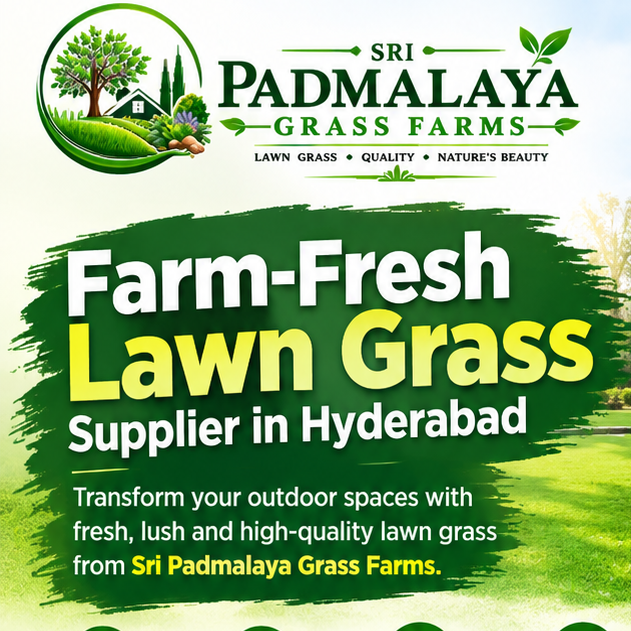 Sri Padmalaya Grass Farms 