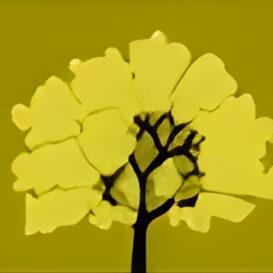 Jireh Tree Care LLC