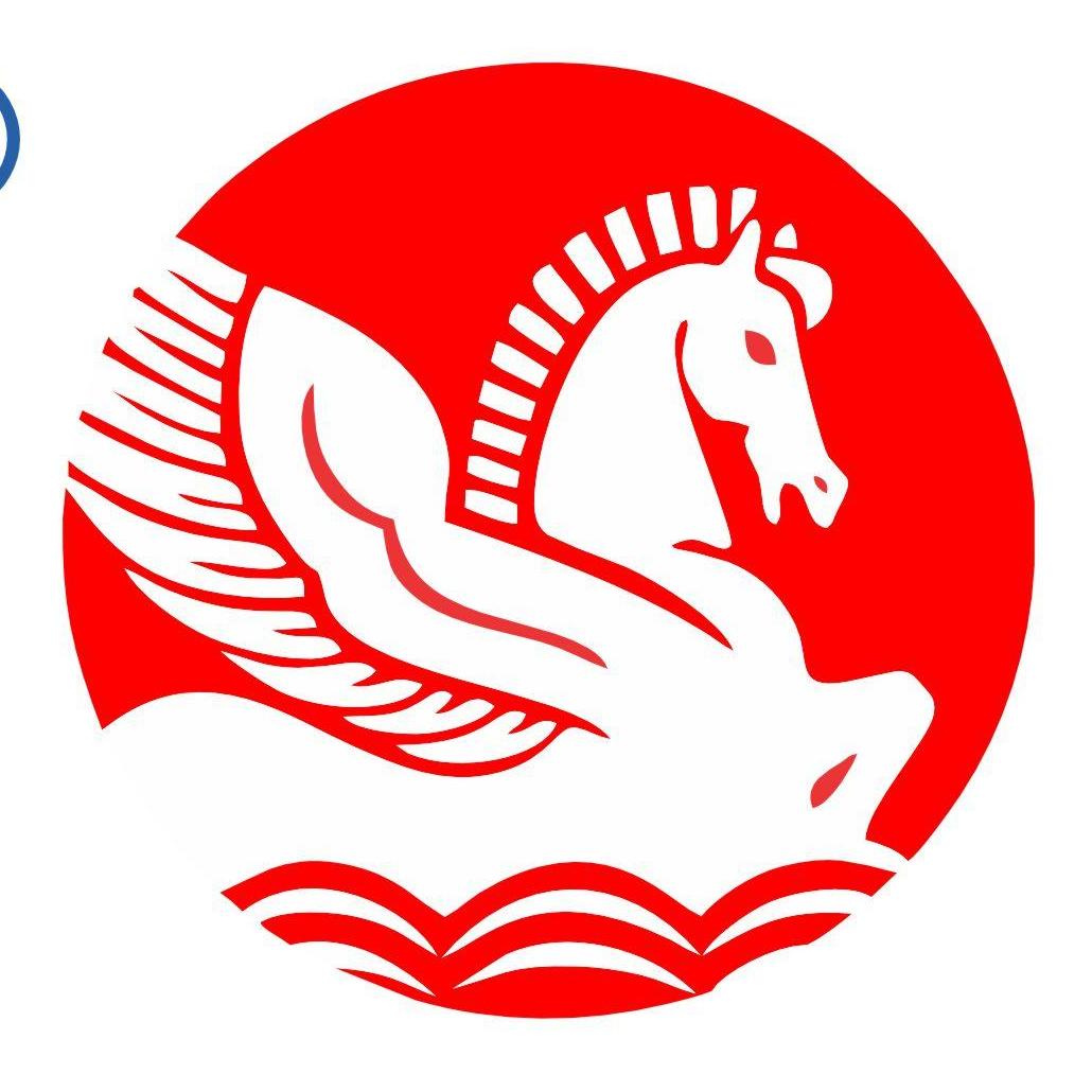 Singhal Industries